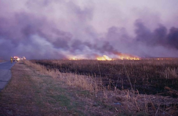 firefighters, extinguished, summer, fire, field