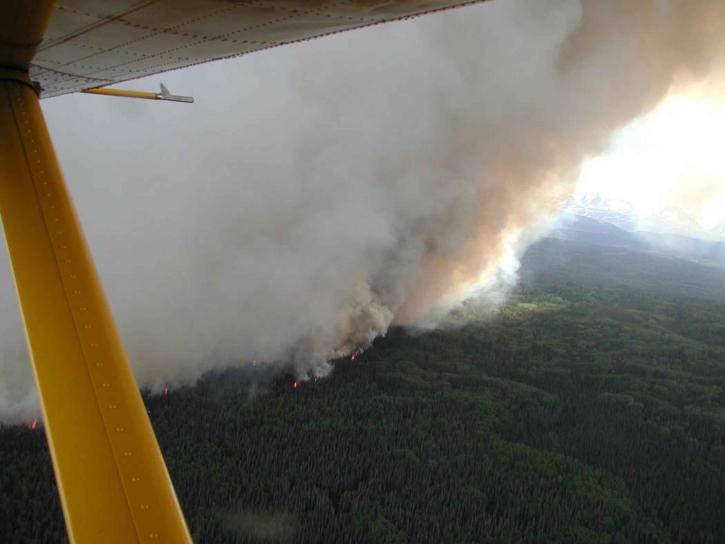 巨大な煙の上昇、森林火災します。