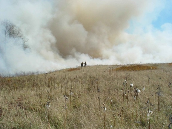 two, firefighters, top, hill, smokes, fire
