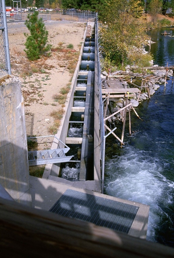 fish, ladder, migrating, fish, bypass, dam, blocking, natural, route