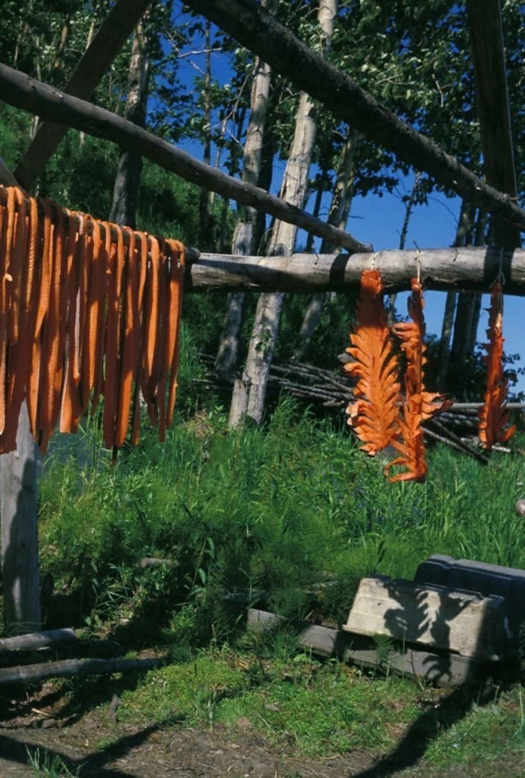 fish, meat, drying, racks