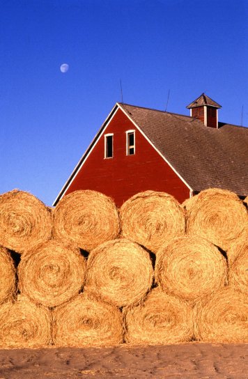 hay, farm