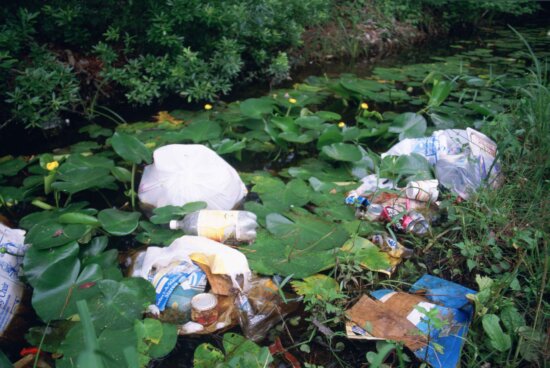 litter, garbage, dumped, wetland area, water, lilies, marsh, plants