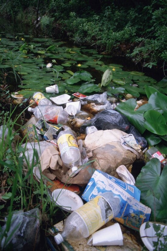 litter, pollution, wetland area