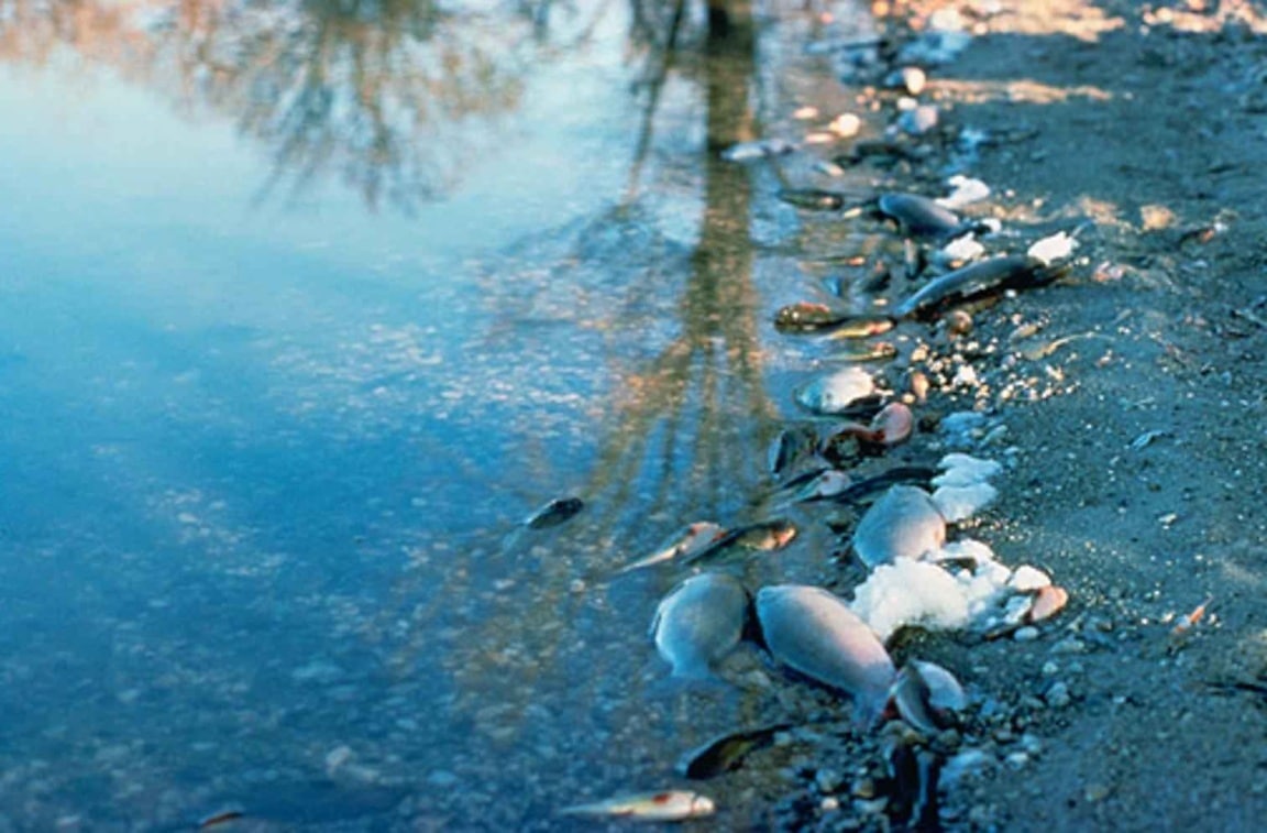 Изменение состояния водных объектов. Загрязнение воды. Загрязнение водоемов. Экология водоемов. Загрязнение природных вод.