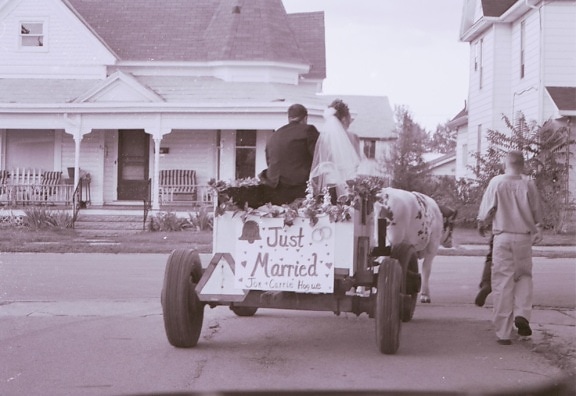 just, married, sign, cart