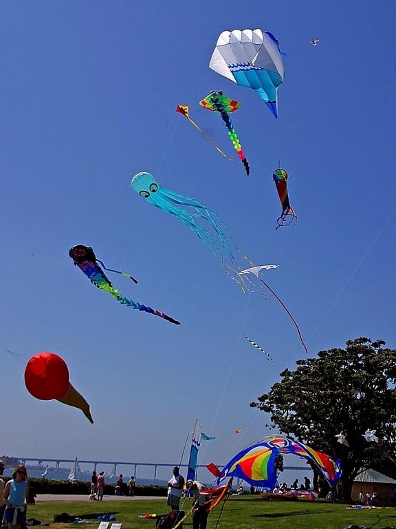 kites, flying, sky