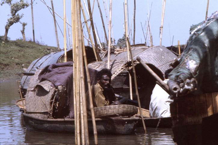homem, barco, maneira, Char, ilha, distrito, Romari, Nordeste, Bangladesh