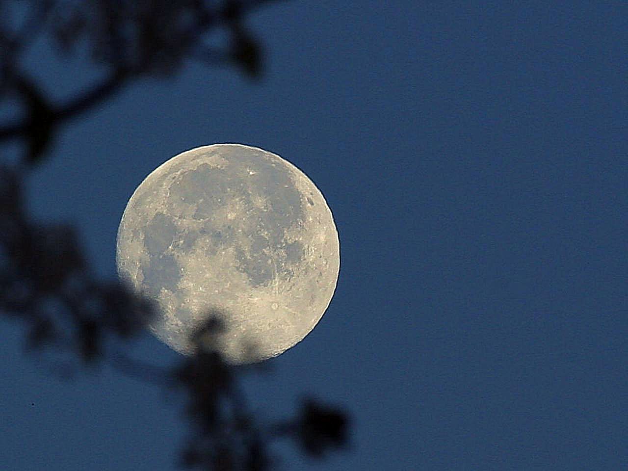 フリー写真画像 月 空 満月の夜