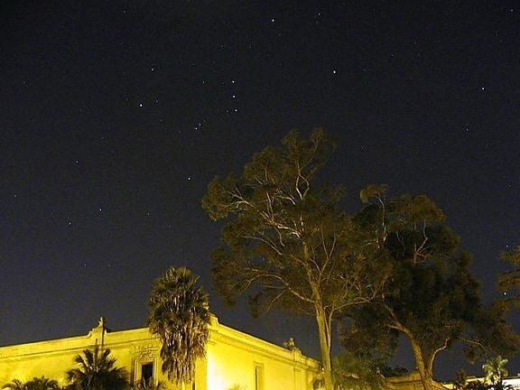 noche, estrellas, árboles