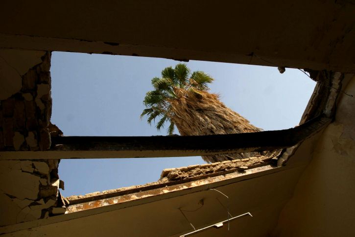 palm tree, visible, hole, roof, Muthenna, intermediate, school