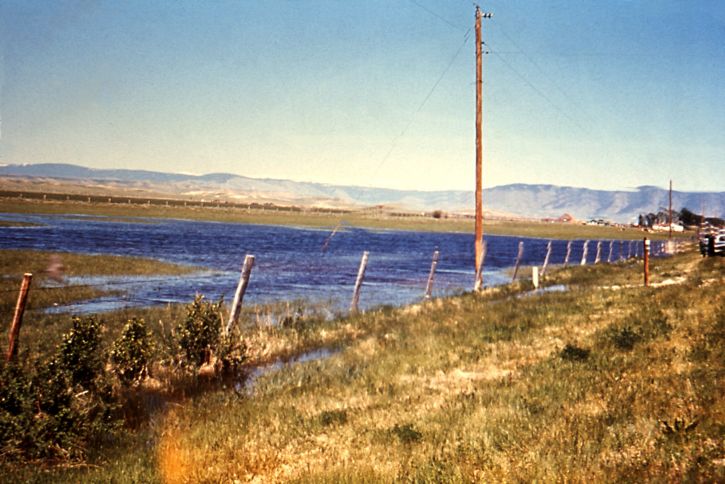 immagine, messa in comune, l'irrigazione, tailwater, Wyoming, pascolo