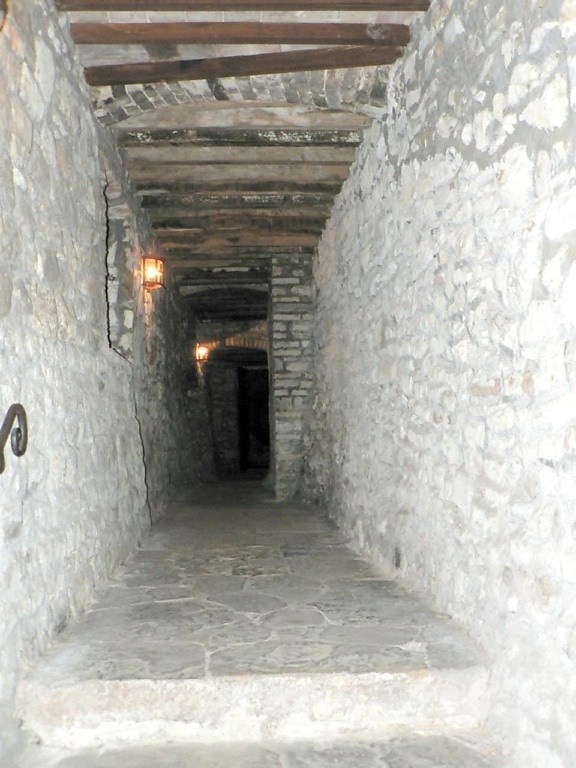 vineyard, cellar