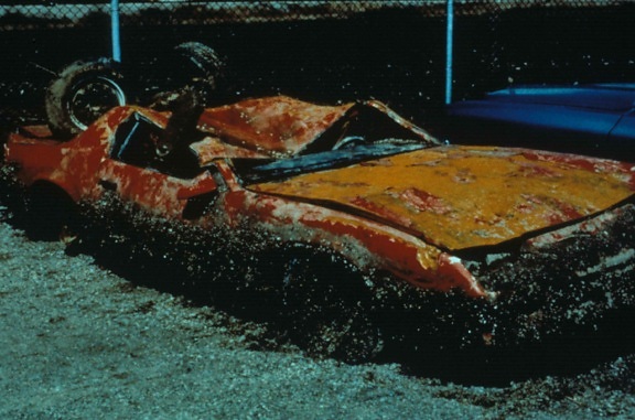 ม้าลาย หอยแมลงภู่ encrust เสีย หาย สีส้ม รถยนต์