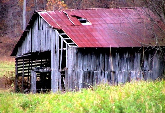 abandoned, horse, barn, autumn, fall