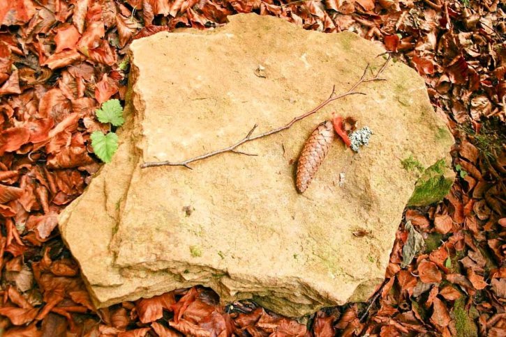 cone, pedra, folhas