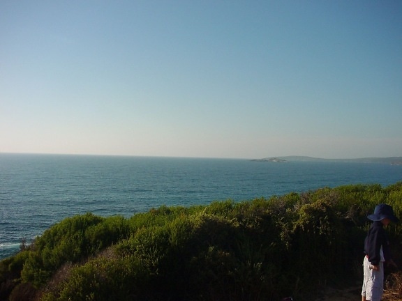 Bucht, panorama, ausblick, Natur