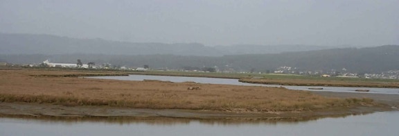 Panorama, bay, marsh jord