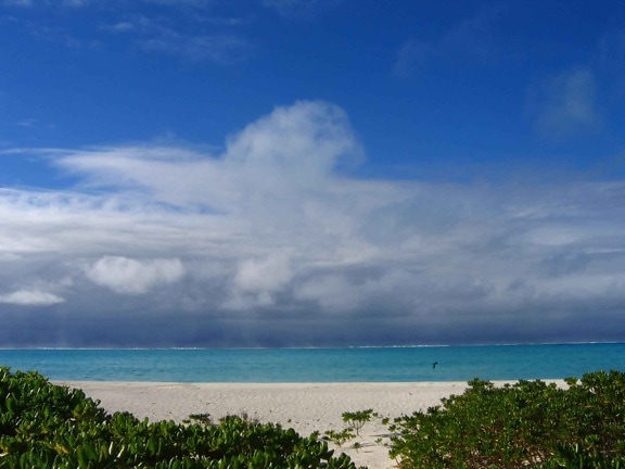 plage, à mi-chemin, atoll, désert, refuge