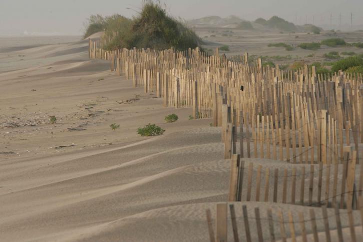 erosion, control, wooden, fence, sand