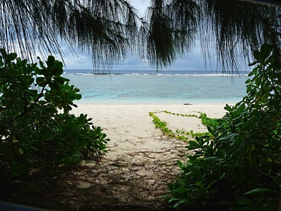 ritidian, beach, trees, Guam, national park