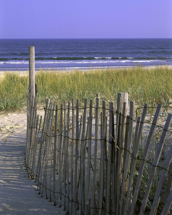 wooden, fence, beach, dune, stabilization