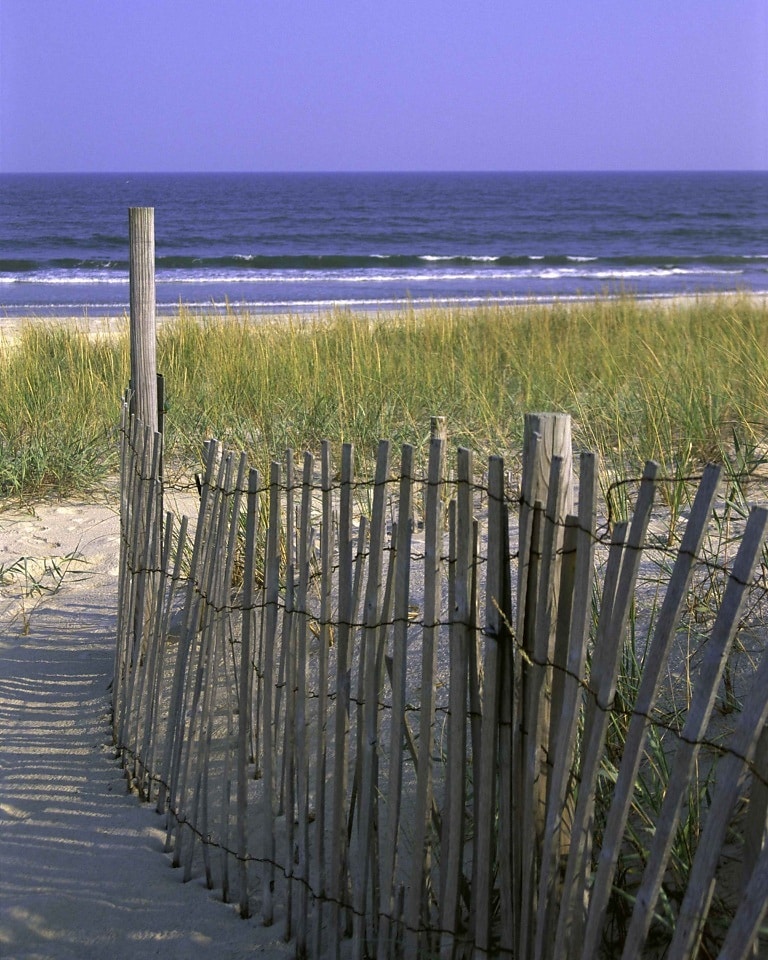 Free picture: wooden, fence, beach, dune, stabilization