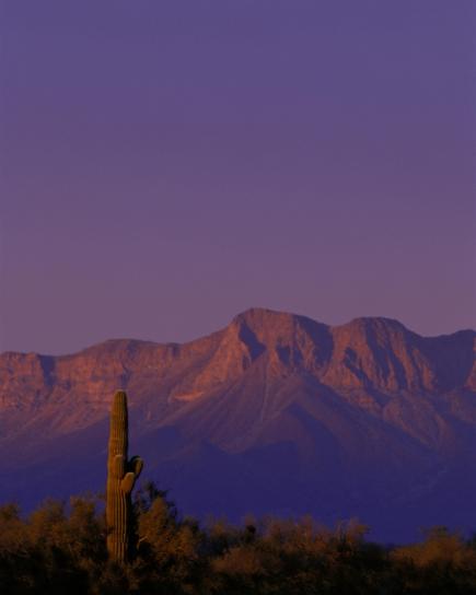 Cabeza, Prieta, ørkenen, tilflugt, Arizona