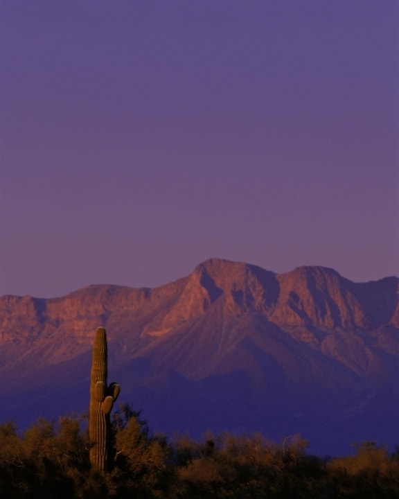 cabeza, Prieta, désert, refuge, Arizona