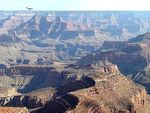 grand, canyon, paysage