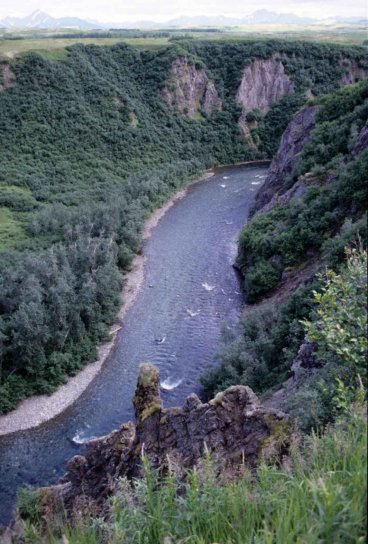 rivière, top, canyon