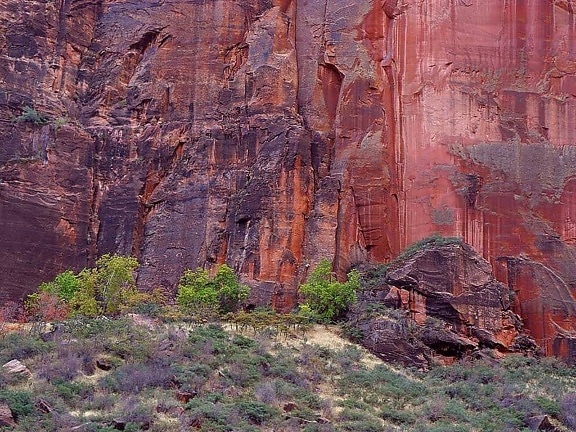 zion, canyon, grande, curva, scogliere, rosso