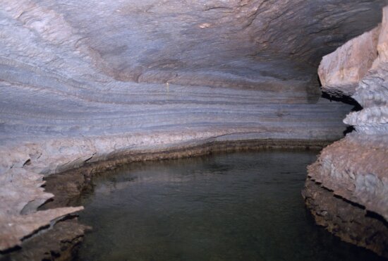 cave-habitat-natural-cave-habitat-550x370.jpg