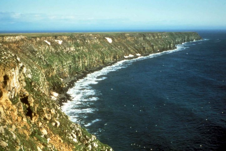 bering, sea, cliffs