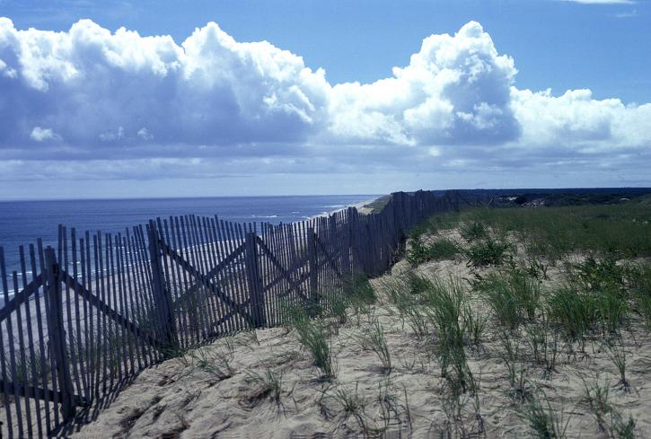 Cape national seashore, wellfleet, Massachusetts