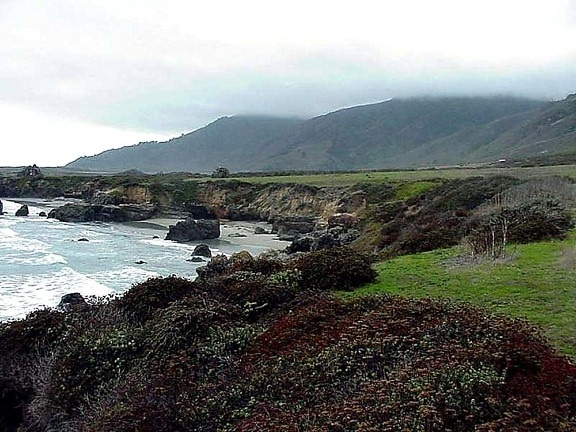 Monterey, vågor, strand, kust, hav, vatten
