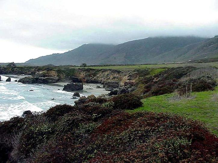 Monterey, vlny, pláže, pobřeží, oceán, voda