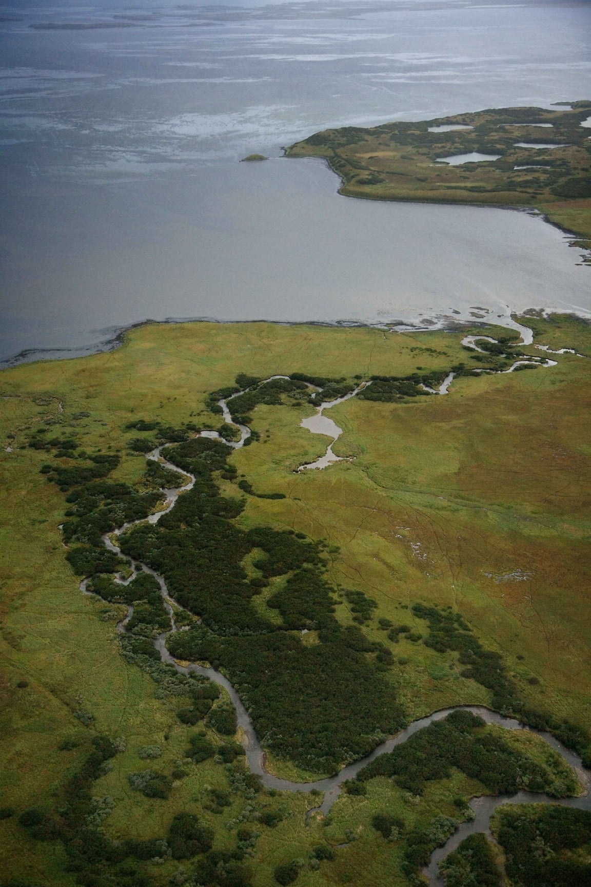 Остров закрывал. Вода и суша. Вода и суша картинки. Shoreline. Низкая намывная полоса суши на берегу или озера.