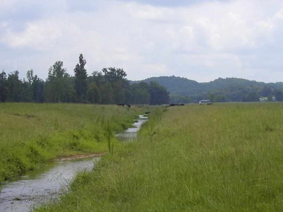 kanalizowanymi, strumień, Georgia