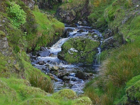 Glengesh, passer, Irlande, ruisseau, ruisseaux, l'eau, la mousse