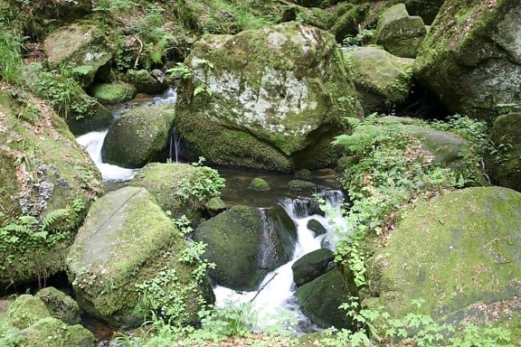 moss, stones, stream