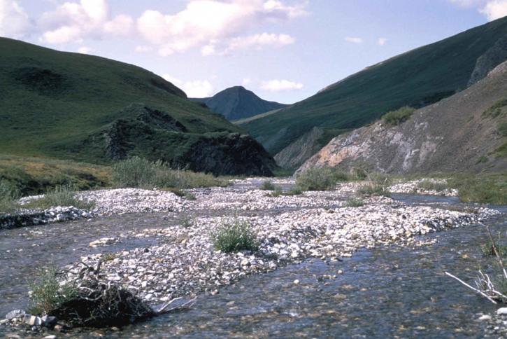 Mountain stream, lente, scenic