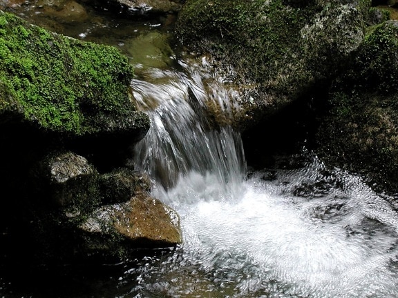 nature, reserve, stream