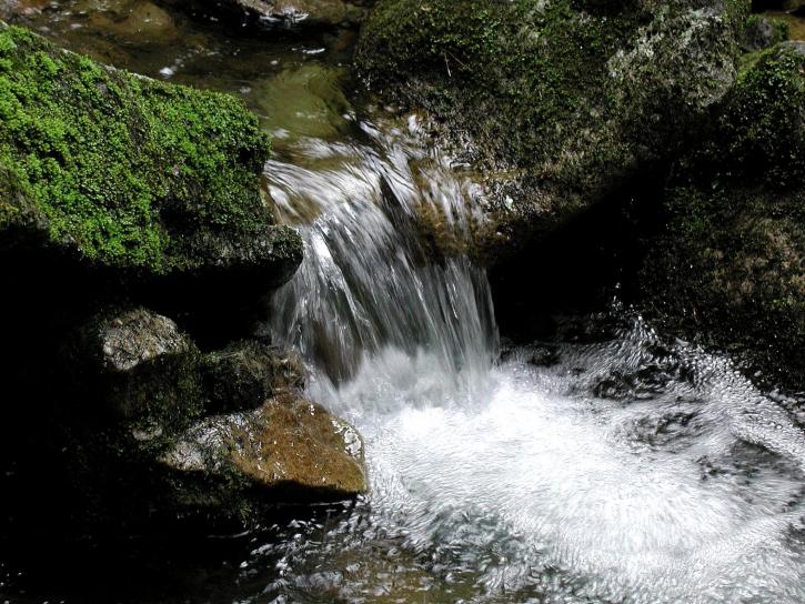 natur, reserve, stream