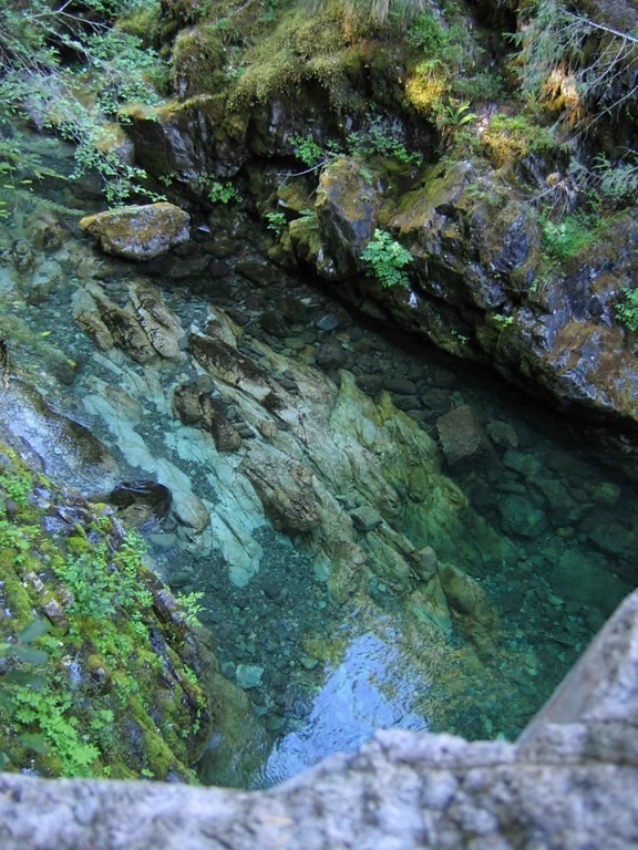 opal, creek, wilderness
