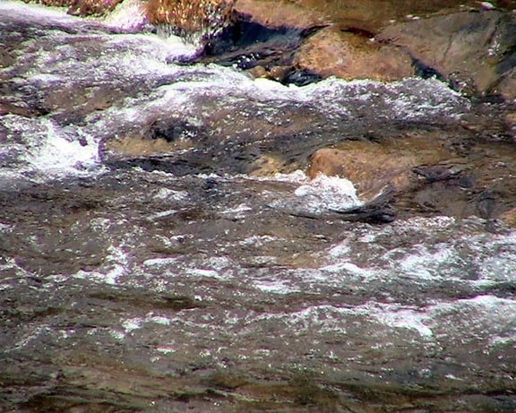 rapid, spring water stream