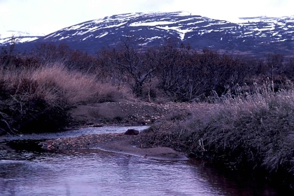 stream, mountain, landscape