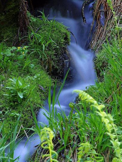 streams, brooks, meadows, mosses