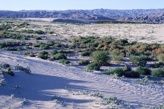 coachella, valley, desert