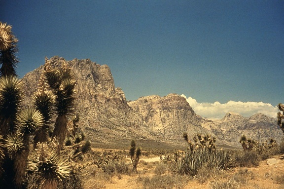 desierto, panorama, paisaje